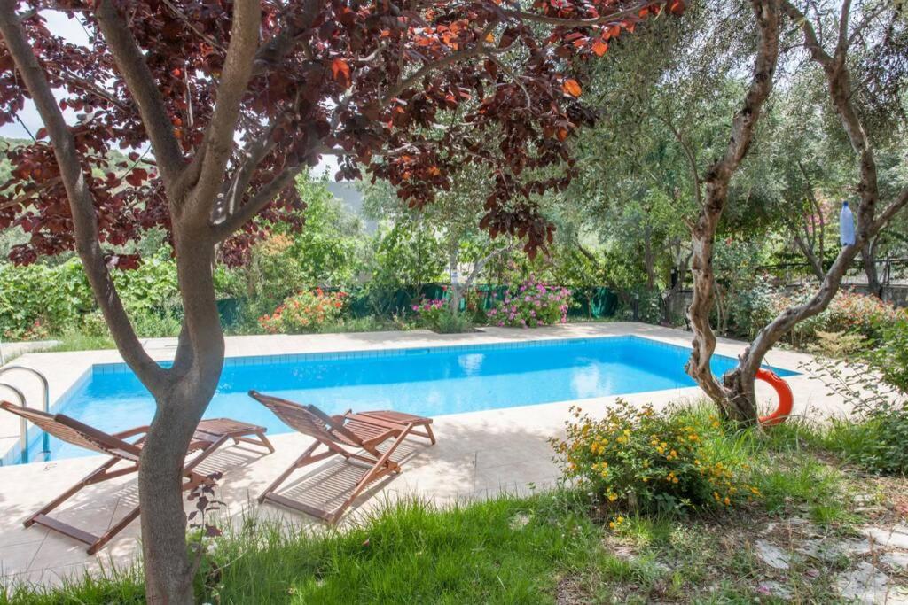 خانيا Villa Manolis المظهر الخارجي الصورة